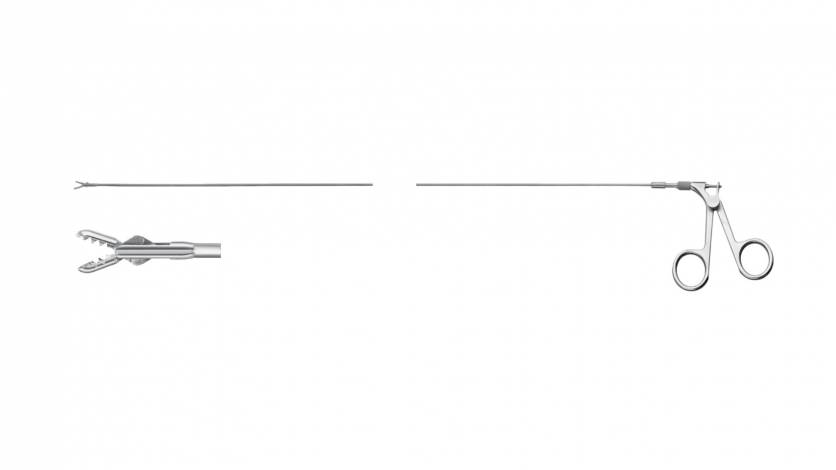 SEMI-RIGID BODY FORCEPS